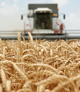 Правительство направит более миллиарда рублей на развитие аграрного образования в 24 регионах