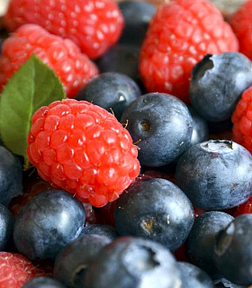 Инвестиции в ягодную отрасль в России: новые хозяйства и проекты