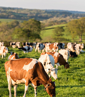 Логистика без сбоев: от лаборатории до всей страны