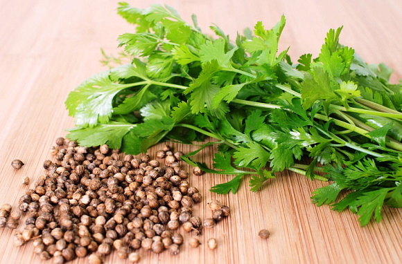 Кориандр Алексеевский