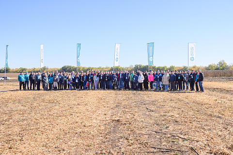 Подсолнечник для каждого