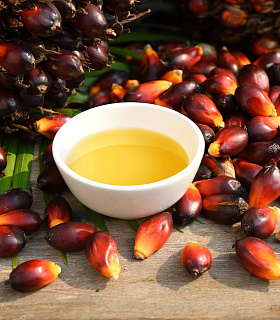 Комитет Госдумы предложил усилить контроль за использованием пальмового масла в продуктах