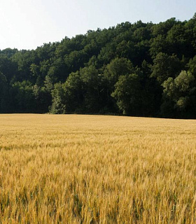 Сельхозземли в ООПТ теперь можно использовать без изъятия