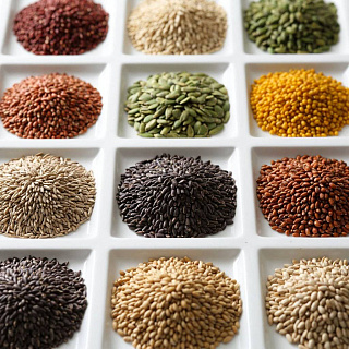 Правила отбора проб семян по ГОСТ 12036-2025