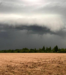 Автоматическая выдача документов для аграриев на Госуслугах при непогоде
