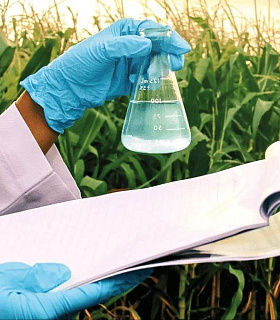 Биология против химии: как БСЗР становятся популярнее