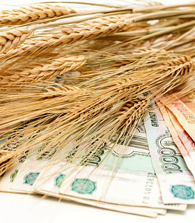 Минсельхоз объявил о снижении тарифов на агрострахование