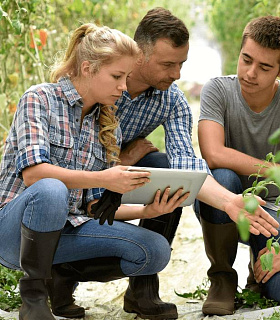 Как привлечь молодёжь в современный АПК?